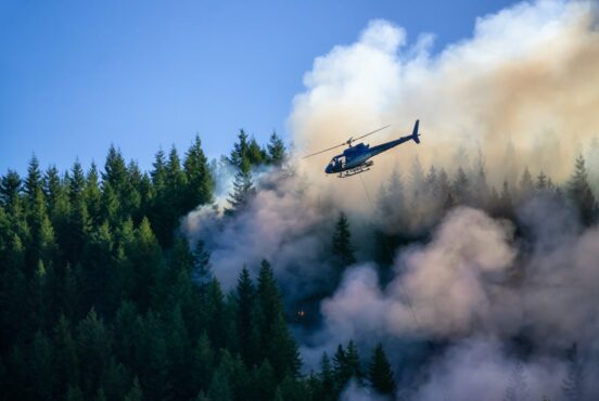 Things You Might Not Know About Wildfires