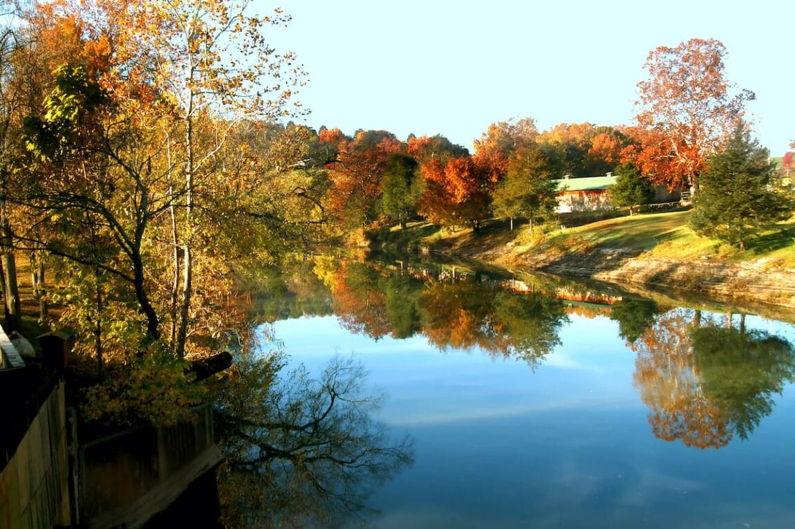 8 Incredible Spots to See Fall Foliage in Arkansas Territory Supply
