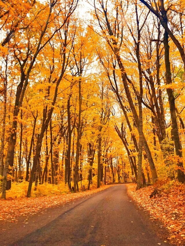 5 Great Places to See Fall Colors in Wisconsin