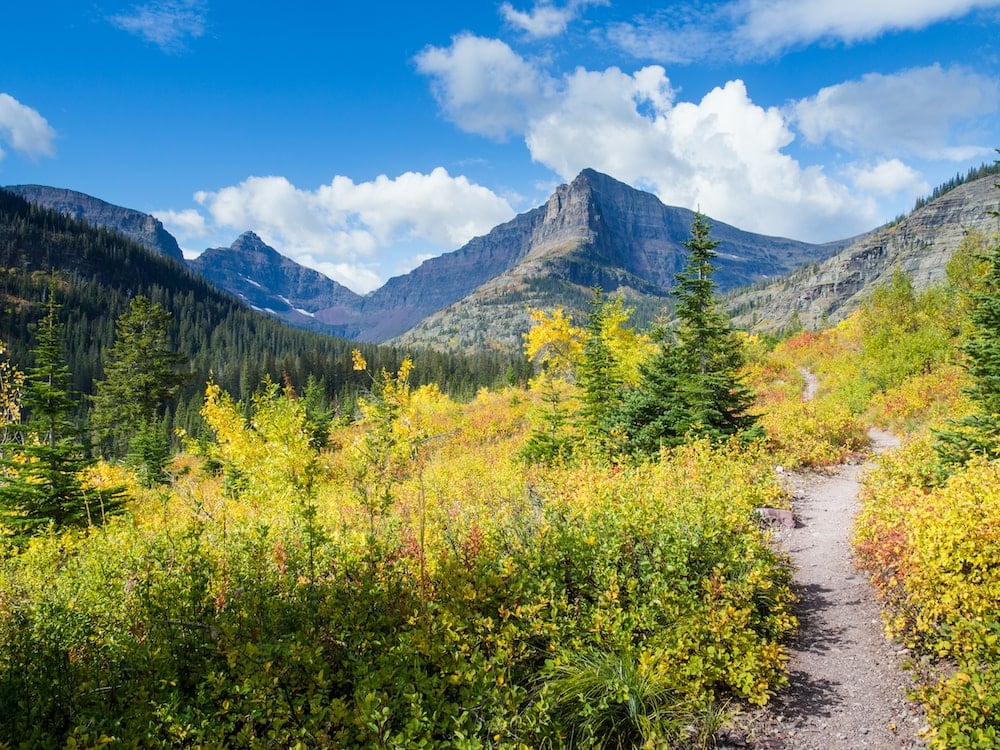 Pitamakan/Dawson Loop glacier national park