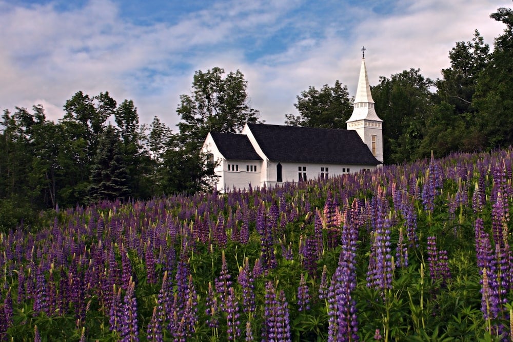 spring New Hampshire