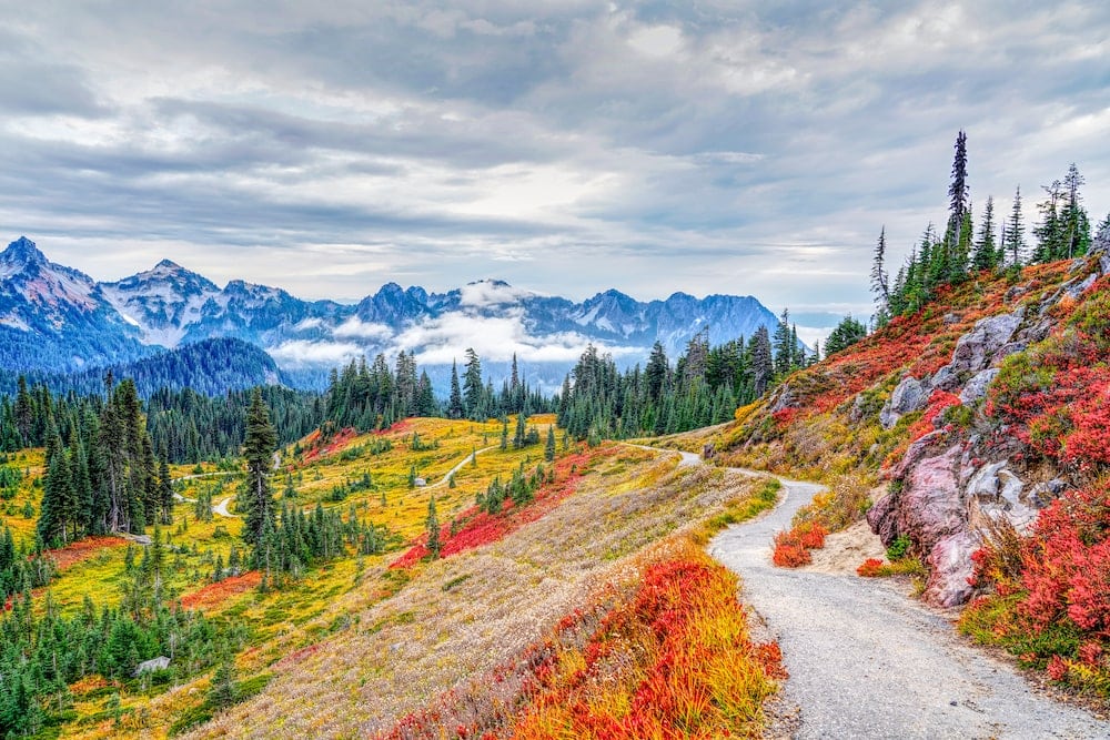 Mount Rainier National Park