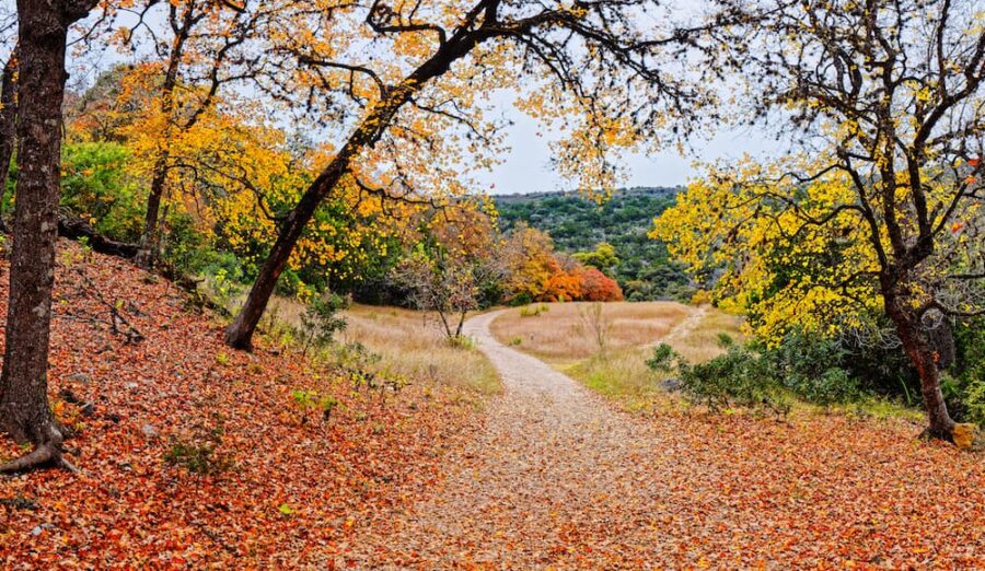 The 6 Best Places to See Fall Foliage in Texas Territory Supply