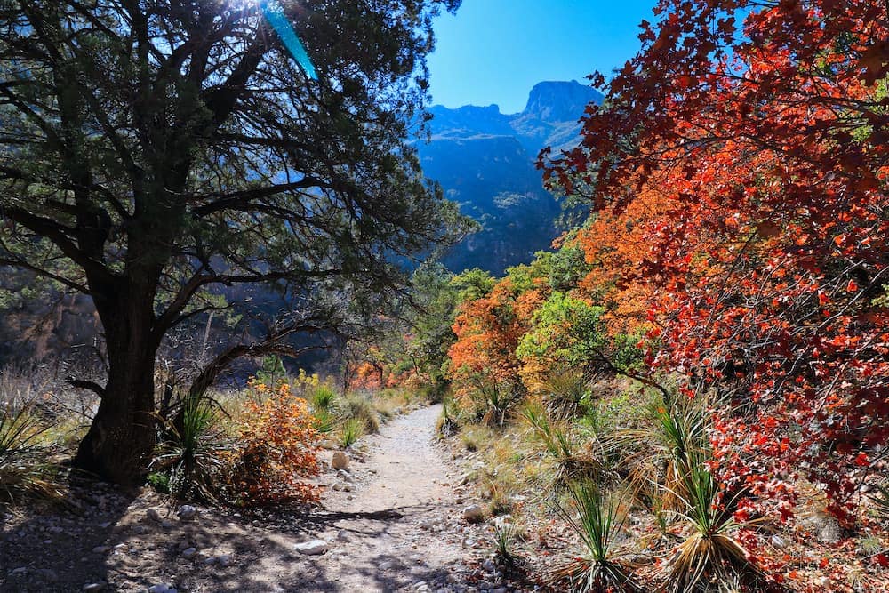 Guadalupe Mountains National Park texas