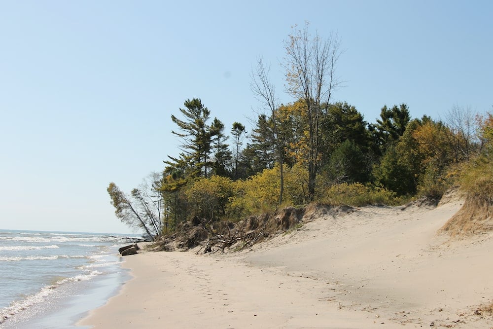 Kohler-Andrae State Park