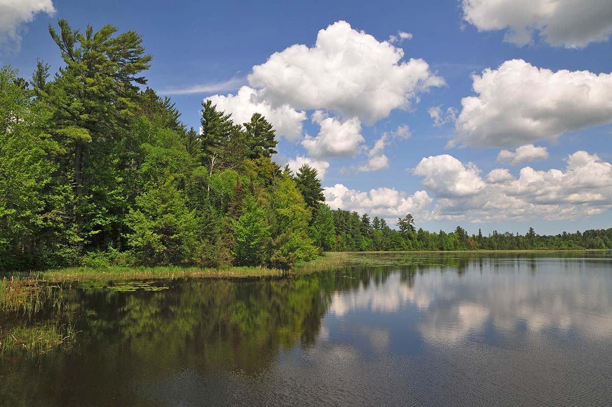 Chequamegon-Nicolet National Forest WI