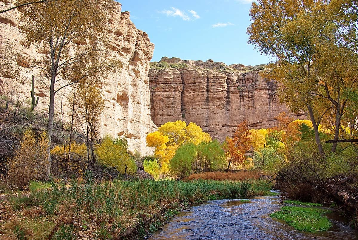 aravaipa canyon fall colors