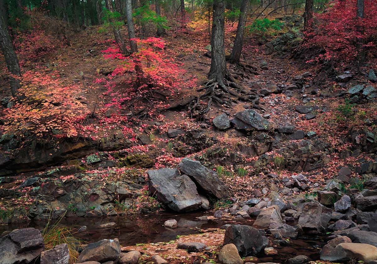 christopher creek autumn