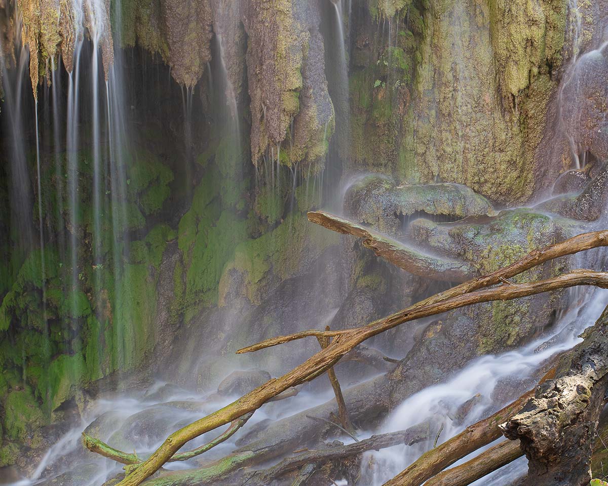 Gorman Falls Trail