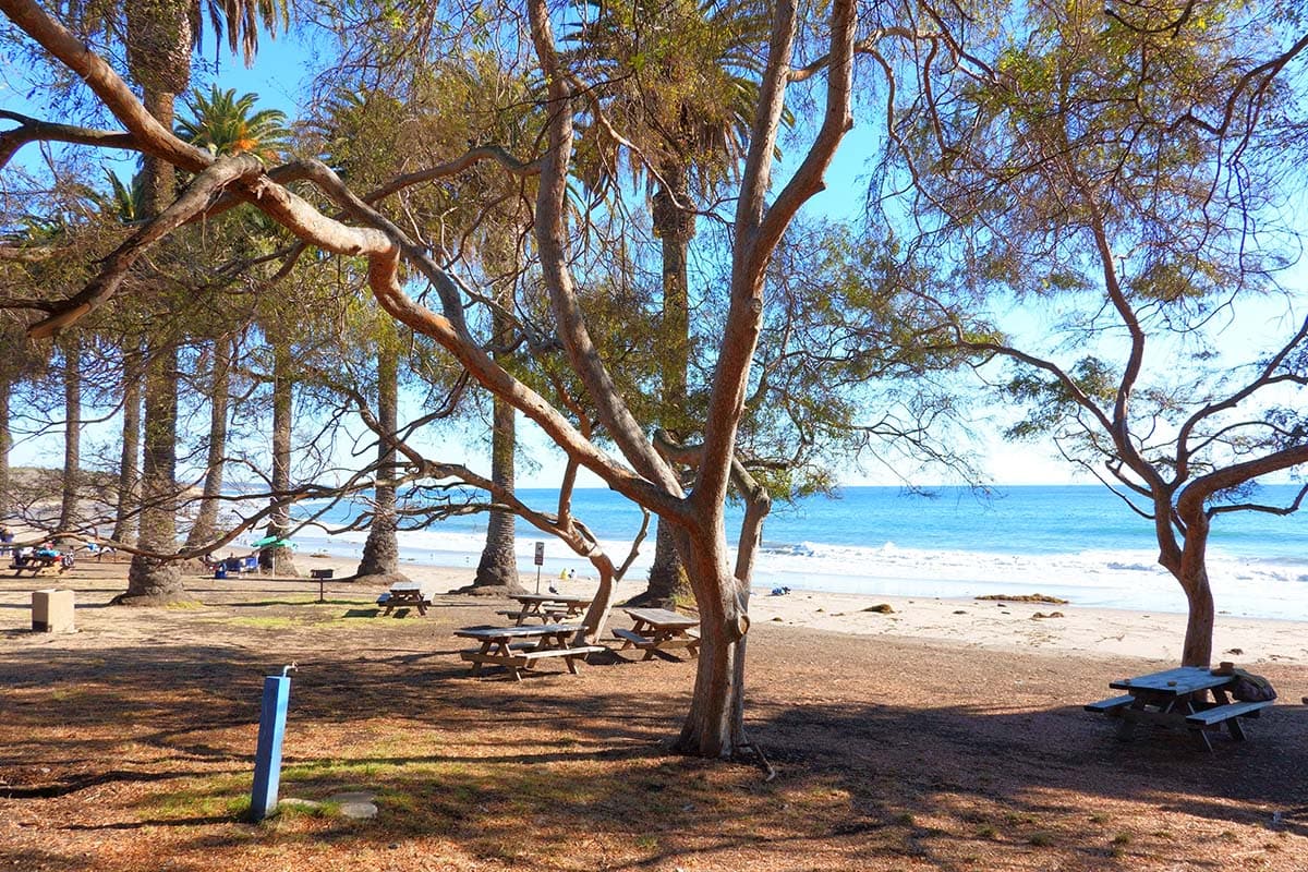 Refugio State Beach