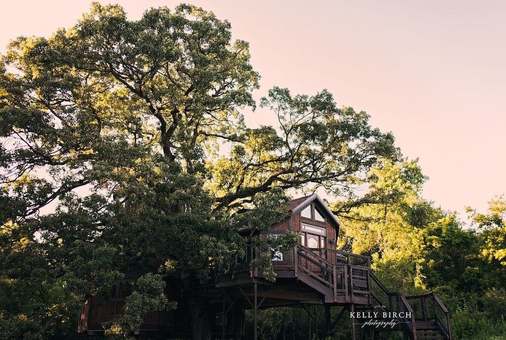 minnesota treehouse