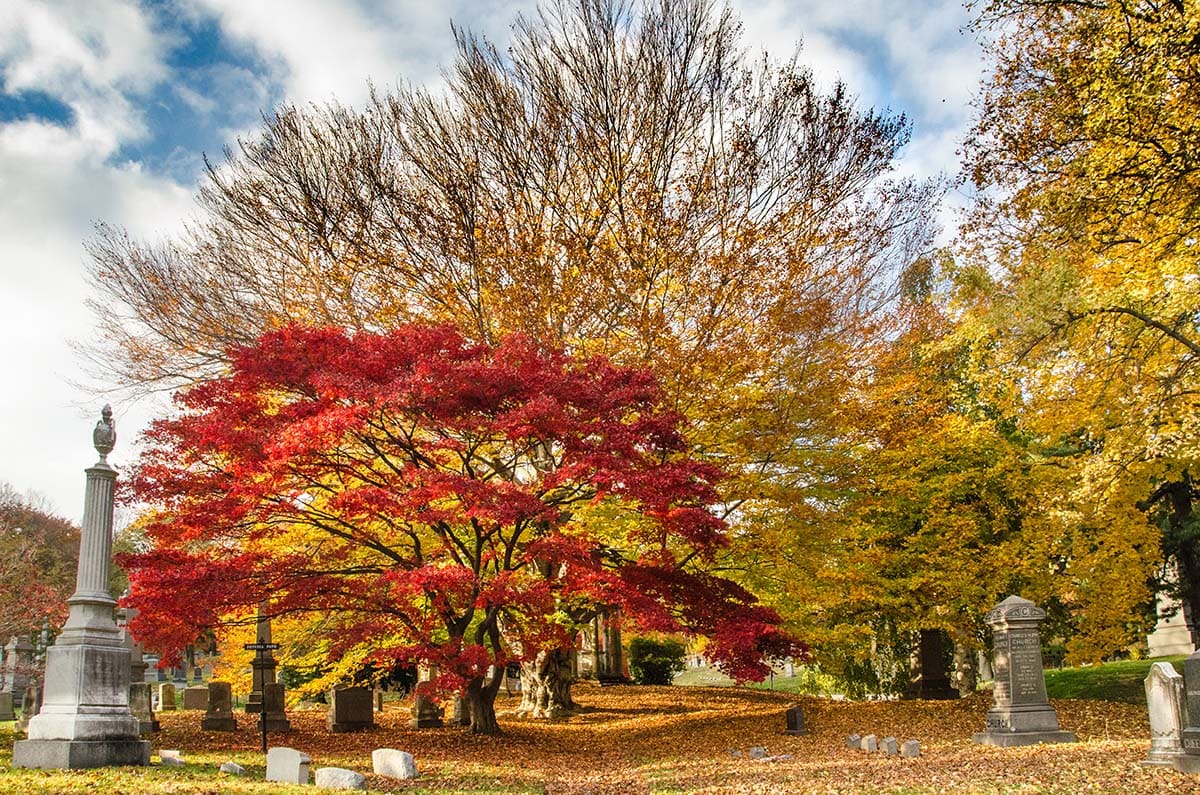 Green-Wood Cemetery in fall