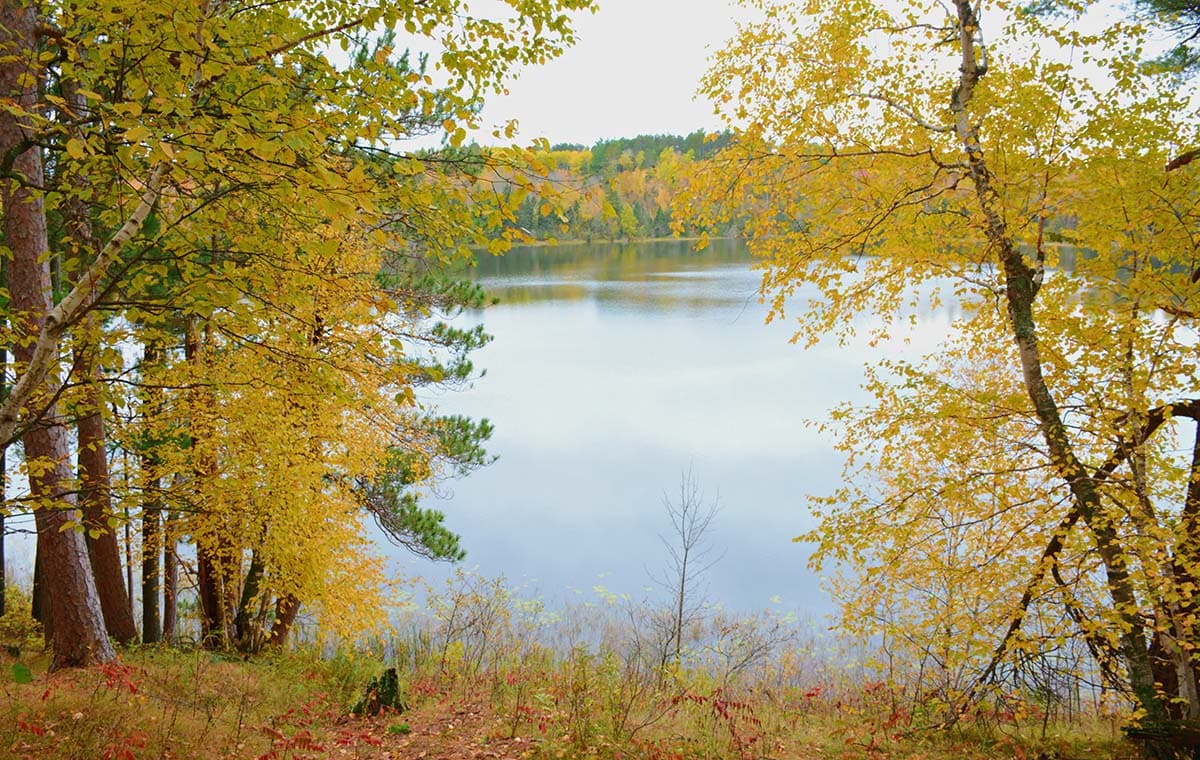 Itasca State Park fall colors