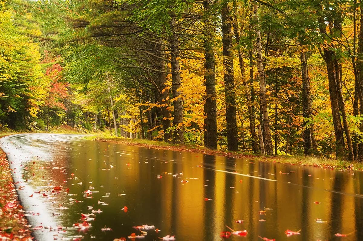 best time to visit acadia autumn road