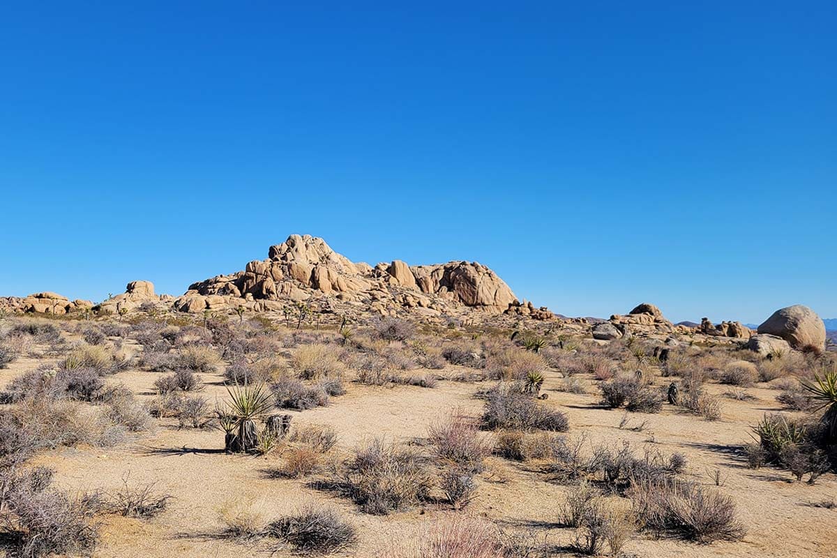 california riding hiking trail joshua tree