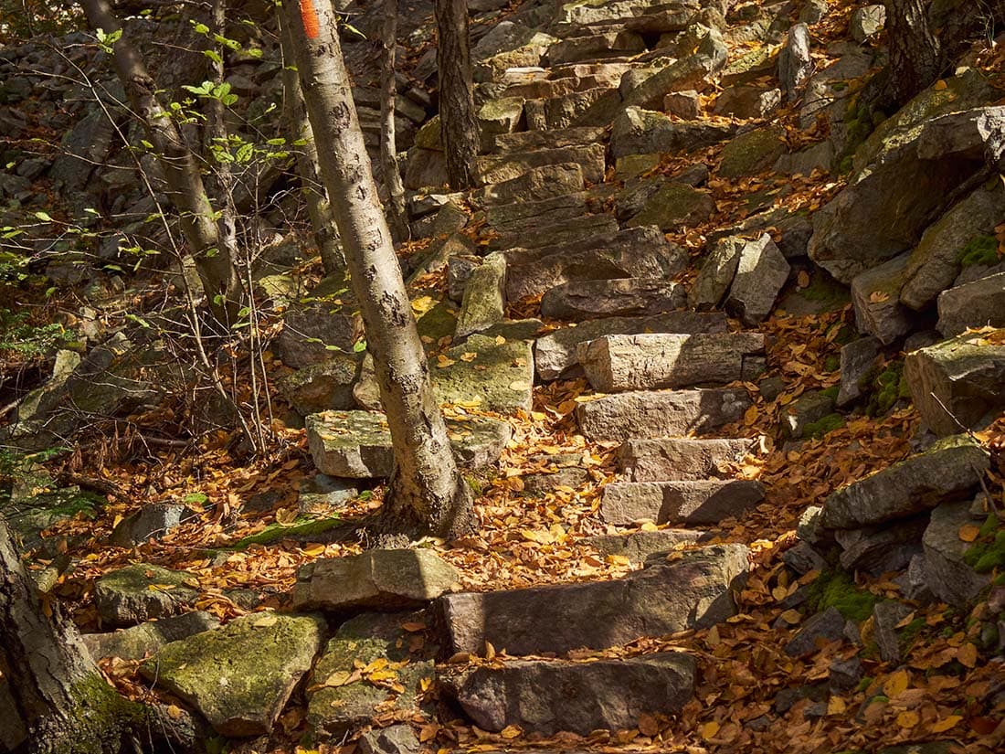 1000 steps pennsylvania fall foilage