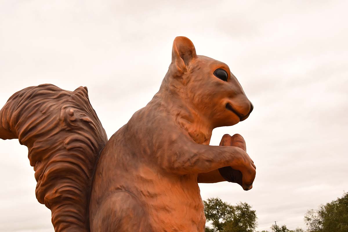 Berdoll Pecan Farm