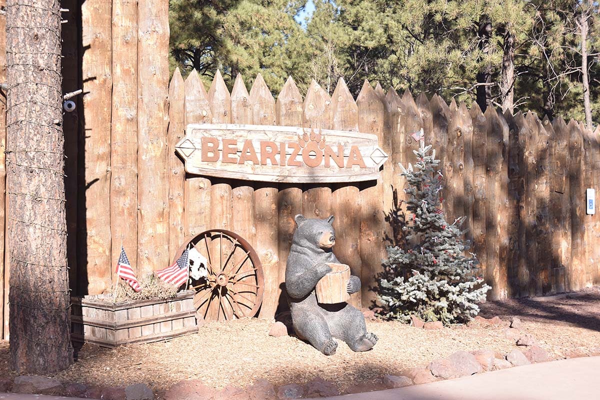 bearizona - vegas to grand canyon road trip