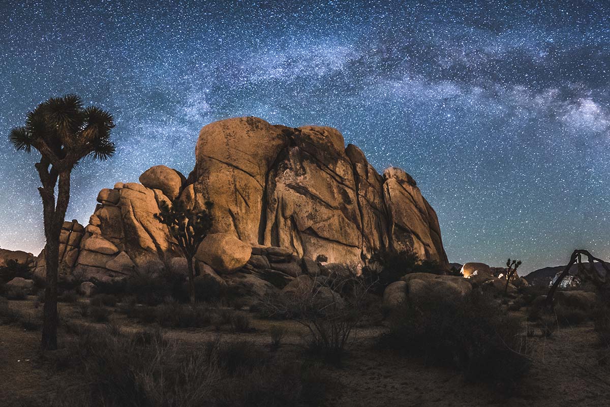 joshua tree national park summer stars