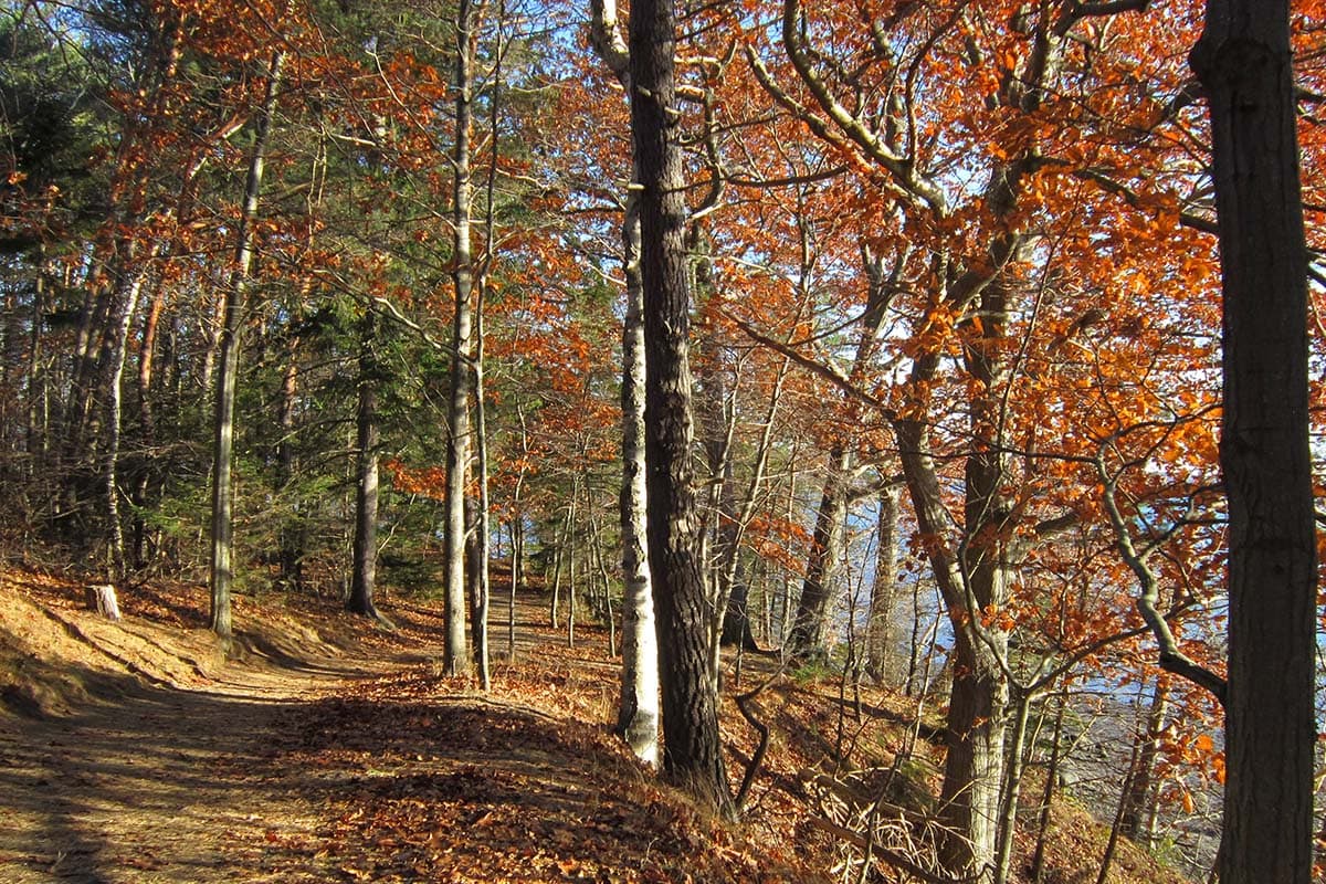 Mackworth Island Portland Maine Hike