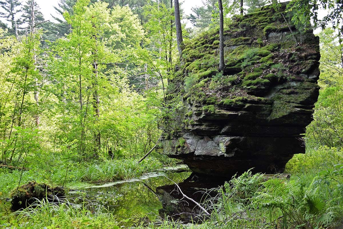 Rocky Arbor Hike Wisconsin Dells