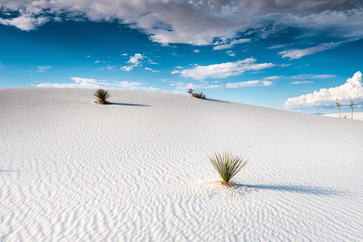road trip from tucson - white sands np