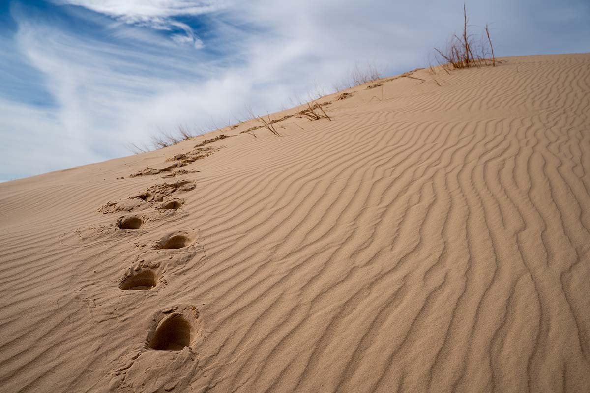 road trips from el paso - Monahans Sandhills