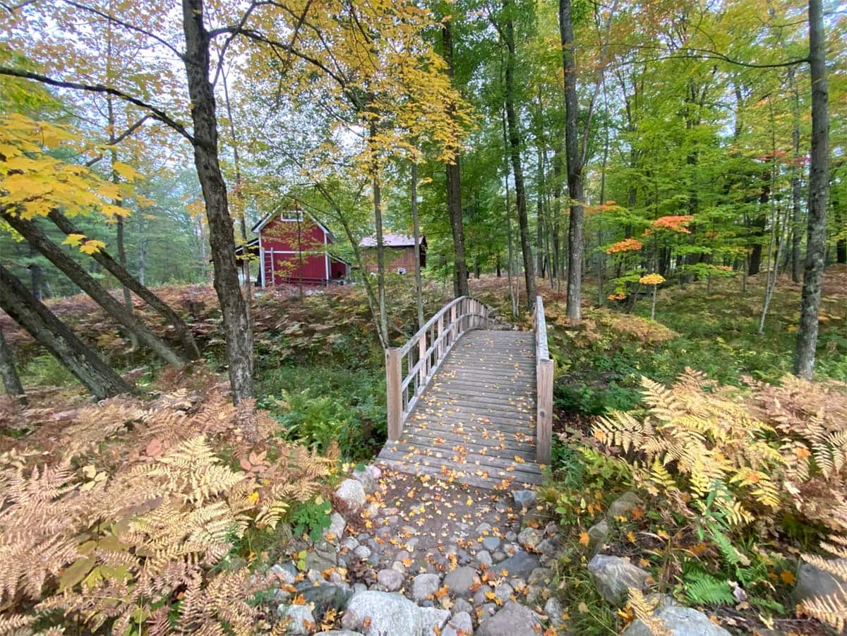 wilderness cabin michigan dog friendly