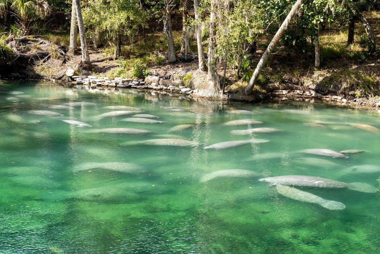 Blue Springs State Park