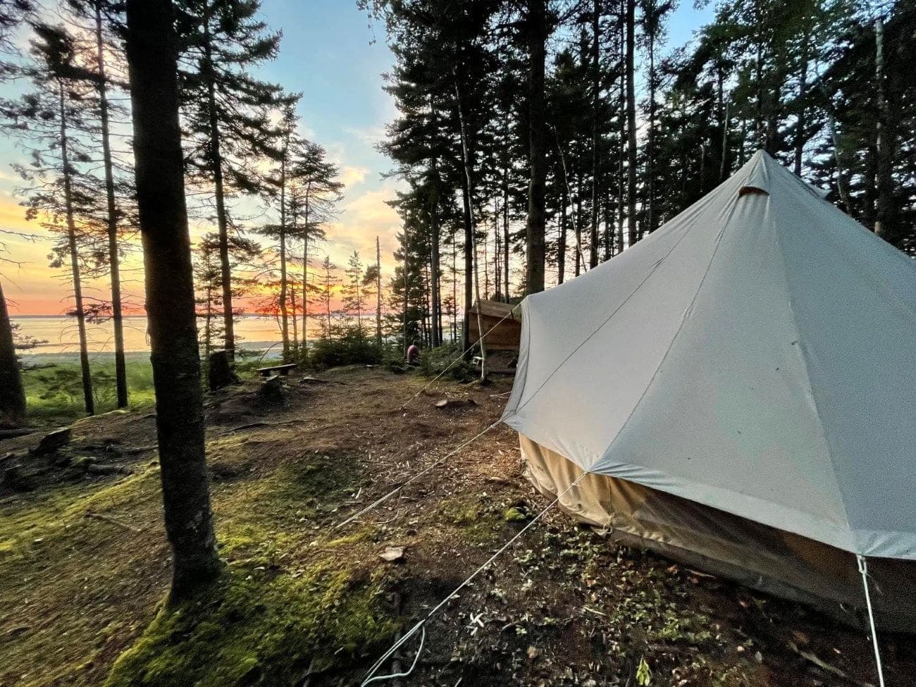 Driftwoods Seaside Tents