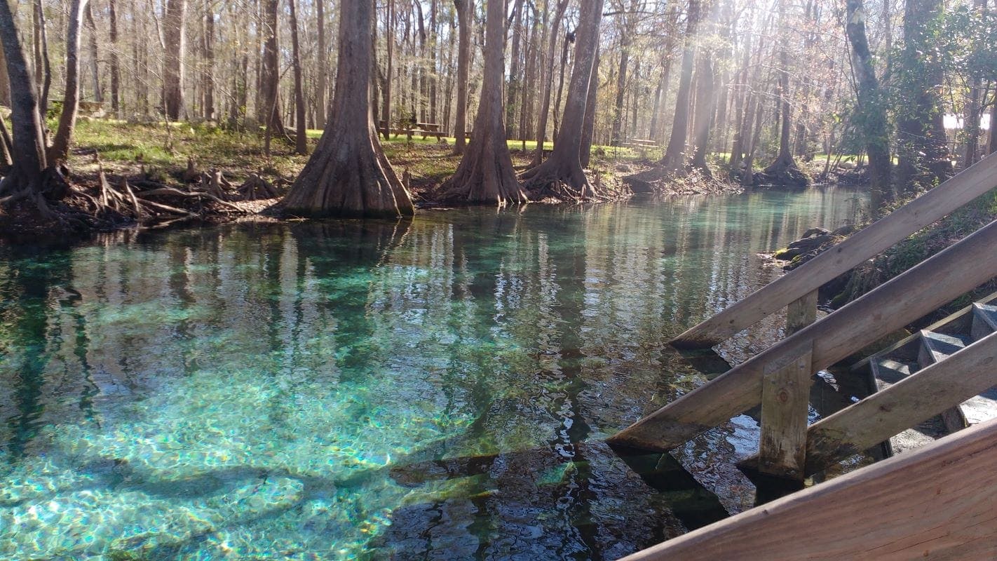 Ginnie Springs