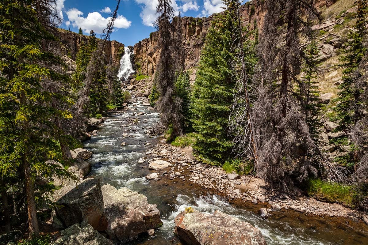 Rio Grande National Forest Colorado