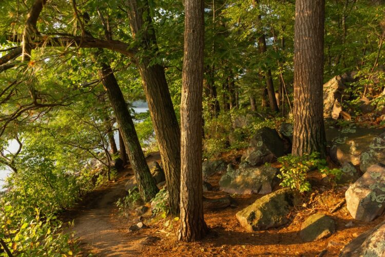 10 Best Hiking Trails at Devil’s Lake State Park, Wisconsin - Territory ...