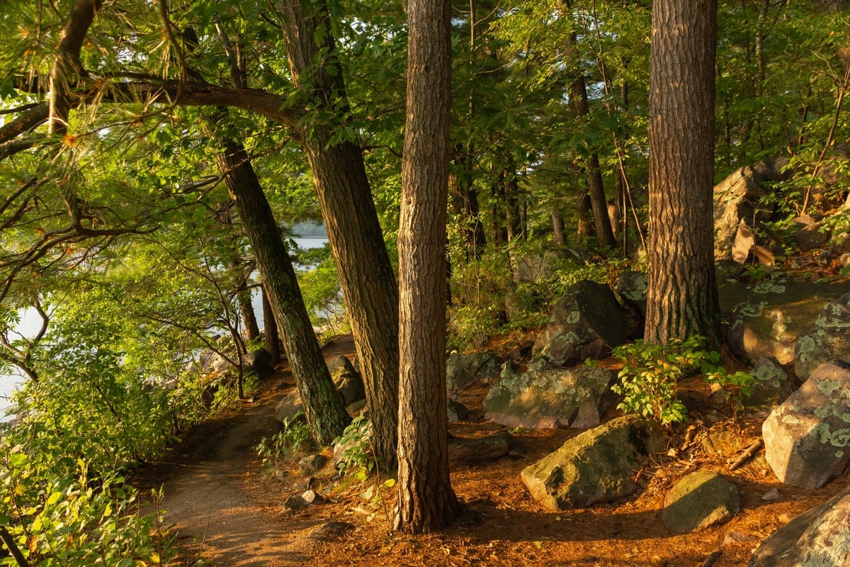 Tumbled Rock Trail wi