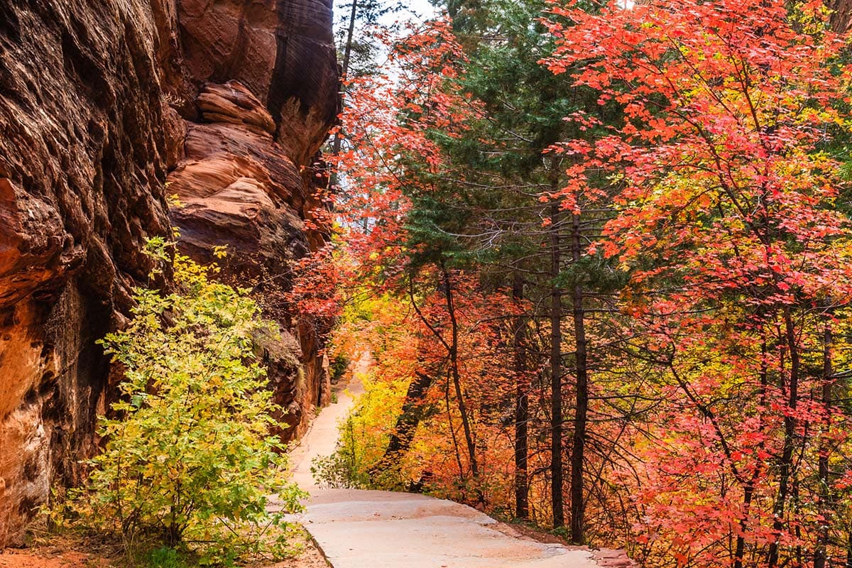 best time to visit zion - autumn