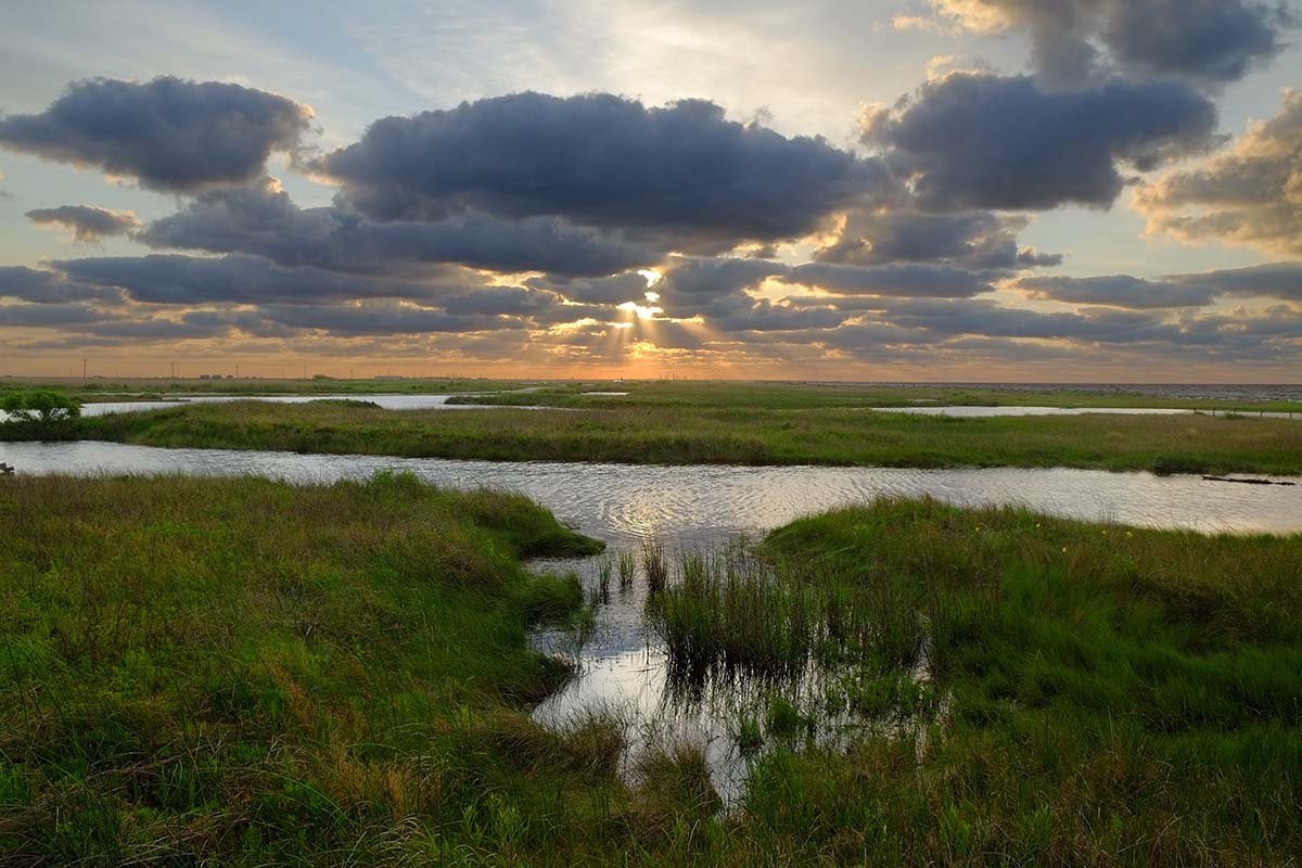 houston to new orleans road trip - sea rim sp