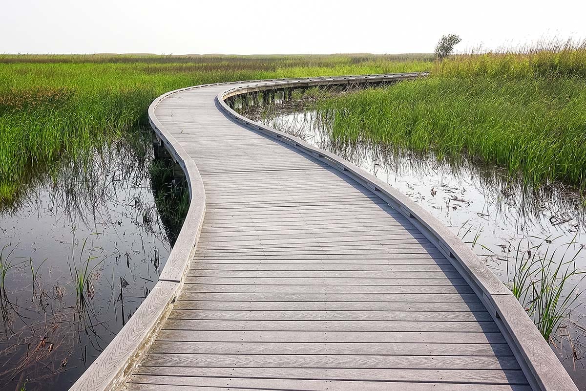 houston to new orleans road trip - wetland walkway