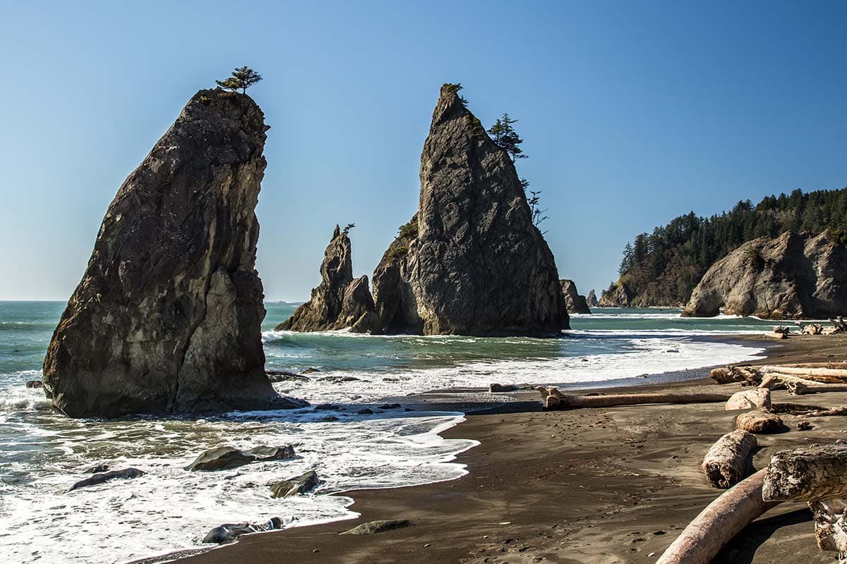 olympic coast trail backpacking