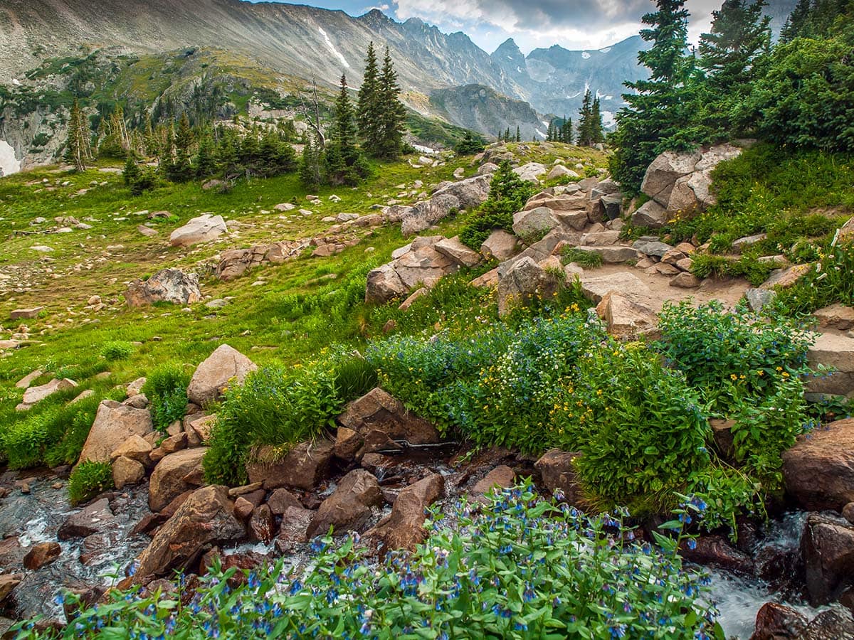 roosevelt national forest colorado