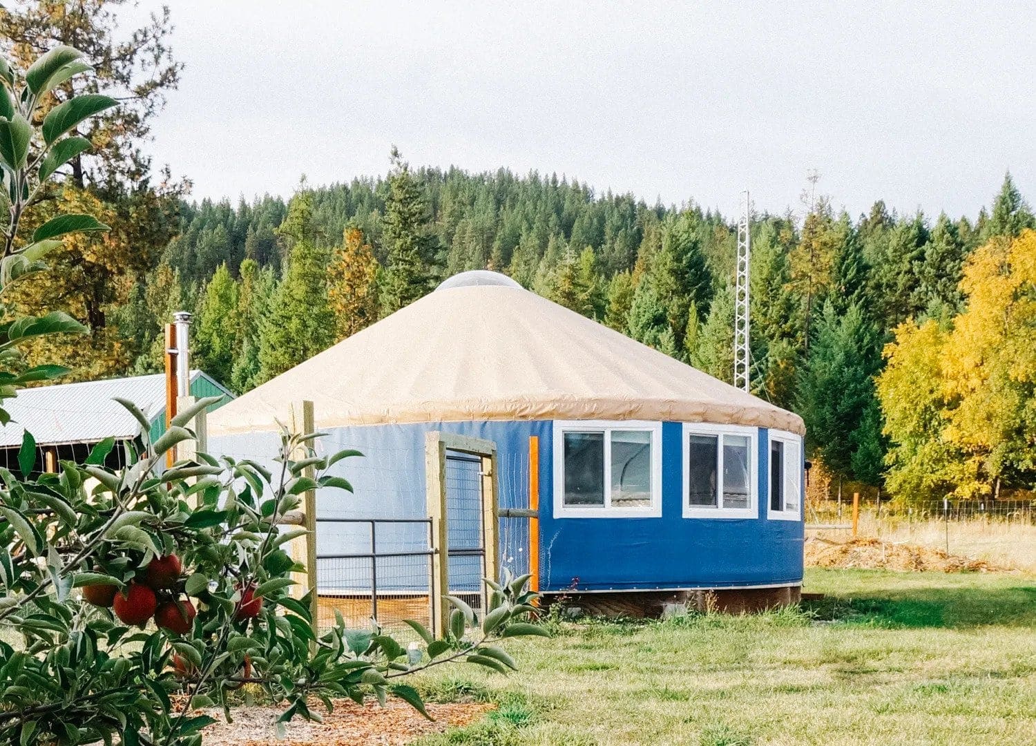 Green Mantis Farm yurt glamping