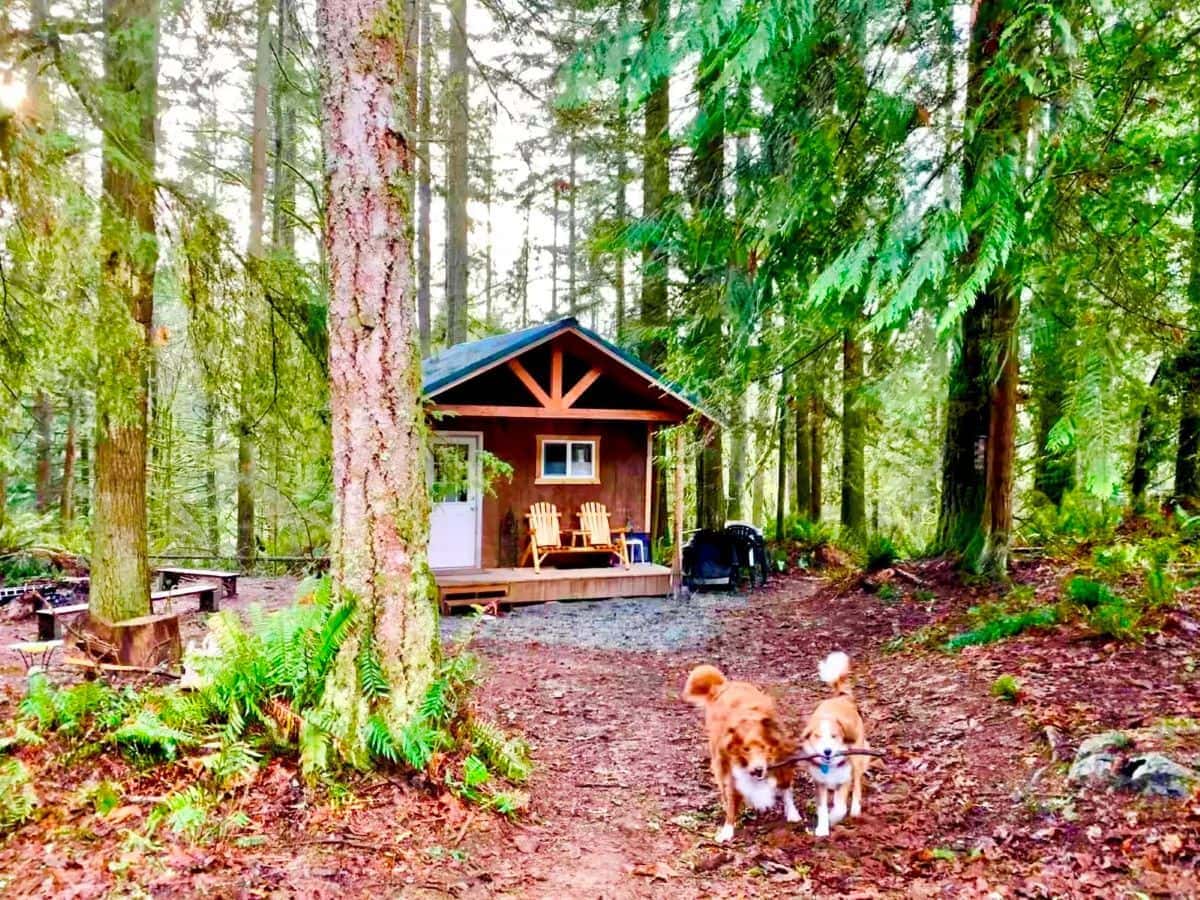 Mini Forest Cabins glamping