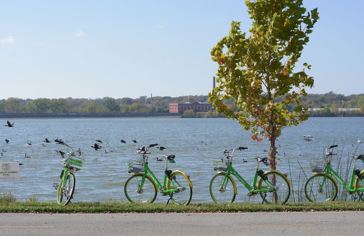 White Rock Lake dallas