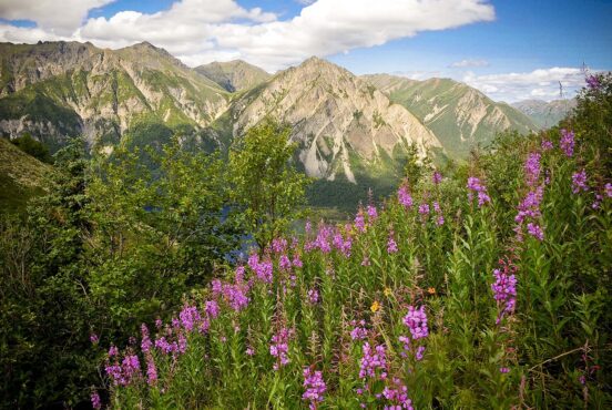 alaska tourism season