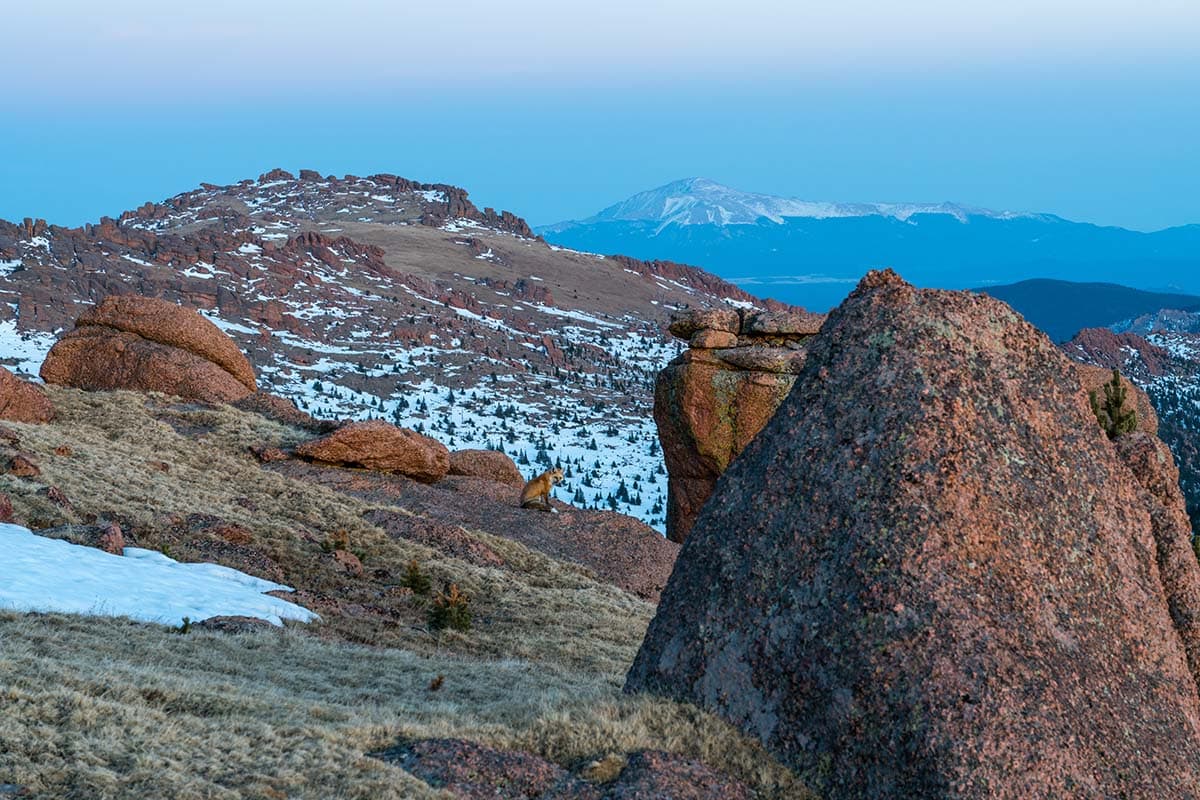 bison peak hike lost creek wilderness