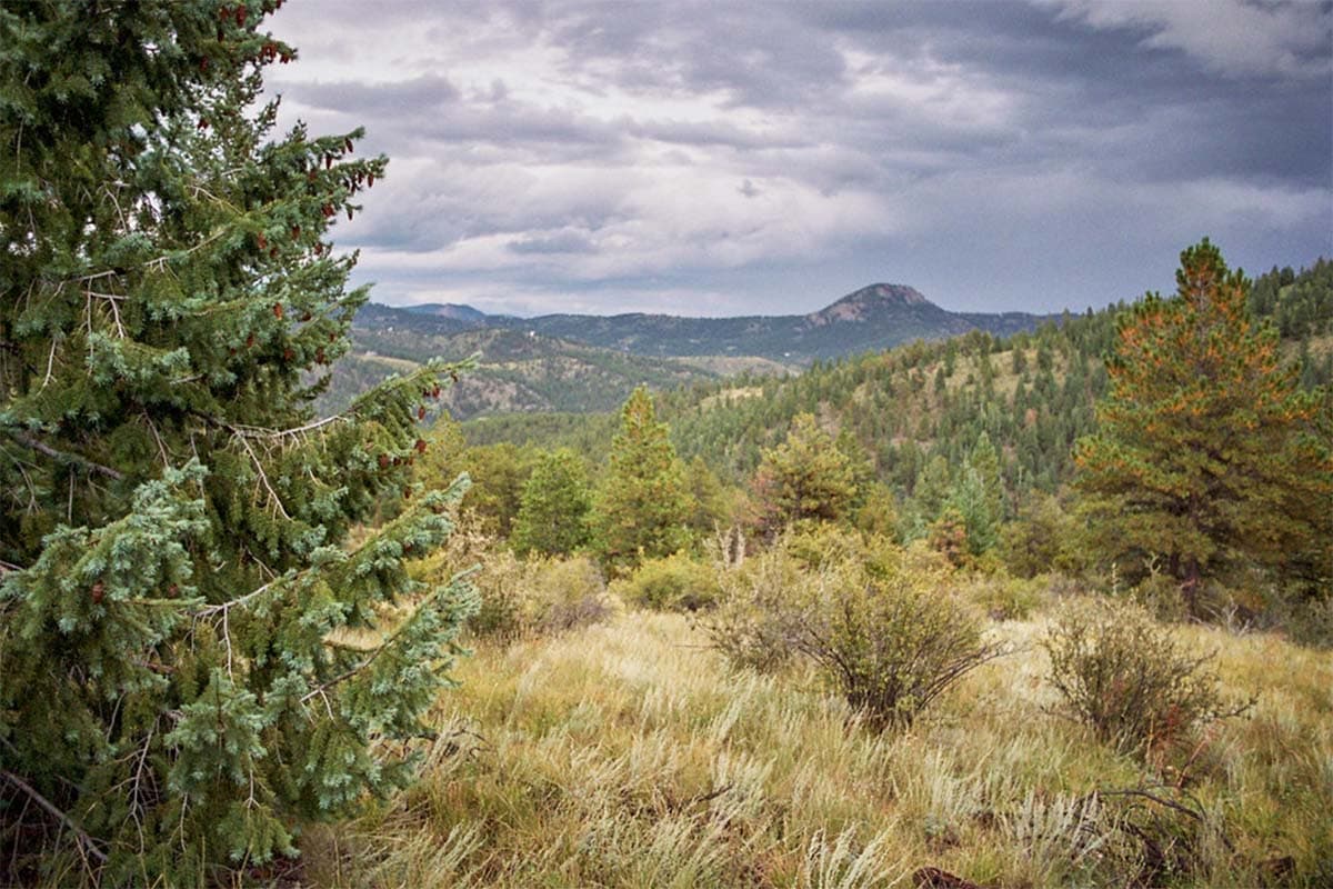 brookside mccurdy trail lost creek wilderness