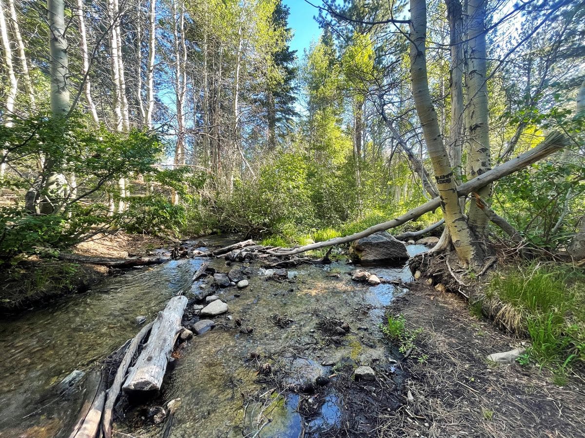 Sherwin Creek Campground