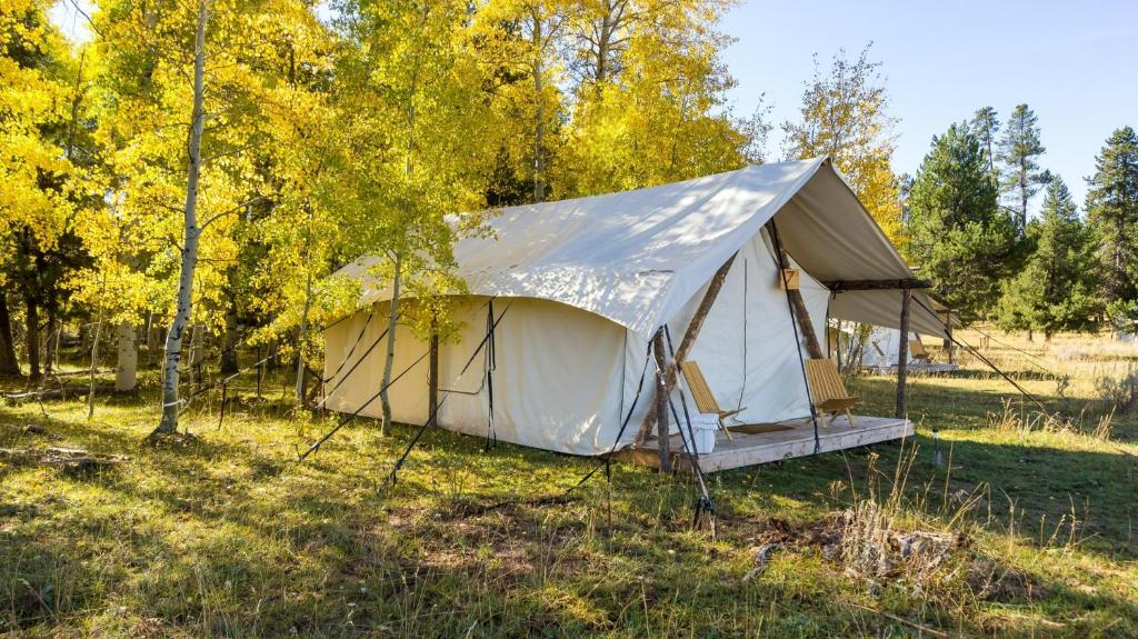 Tammah Yellowstone Glamping