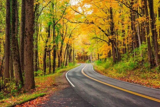 best fall foliage in tennessee