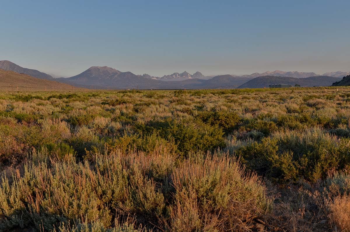 mammoth lakes dispersed camping