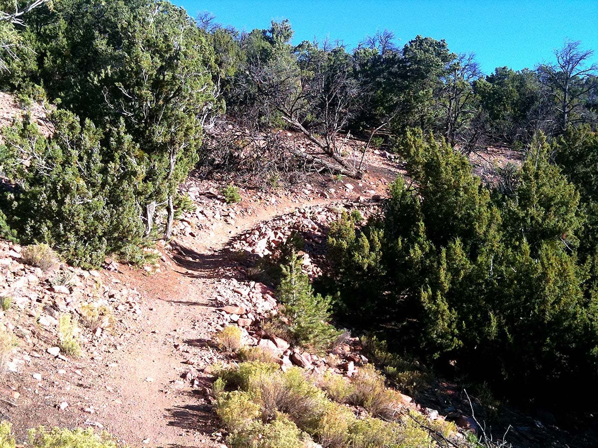 santa fe hikes - Dale Ball Trails